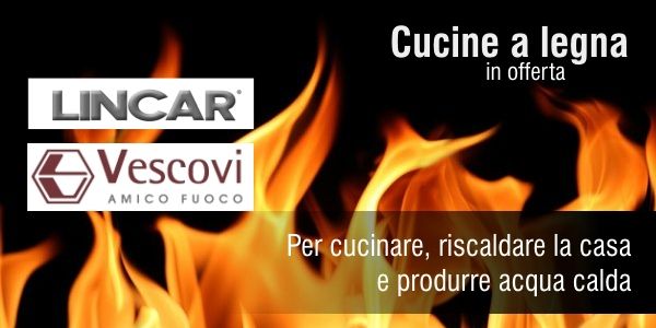 Offerta cucine a legna e termocucine Lincar e Vescovi per cucinre, scaldare la casa e produrre acqua calda