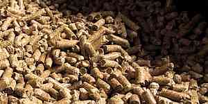 Offerte camini e stufe a pellet e legna
