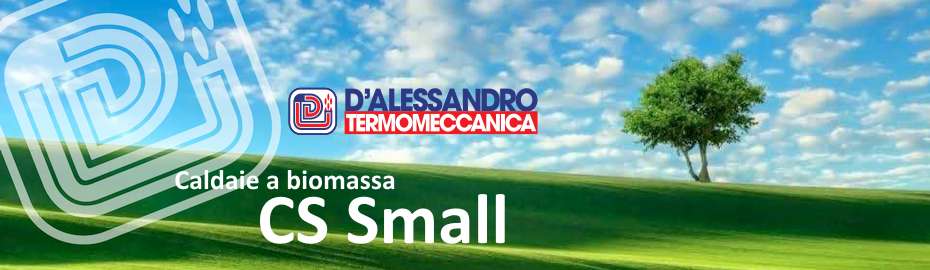 Caldaia a biomassa D'Alessandro CS Small in offerta ad un prezzo speciale