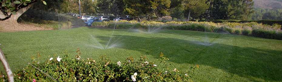 Arredamento esterni, fontane, giardini, piscine, Termoidraulica Nigrelli, Roma